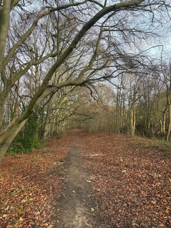 Icknield way